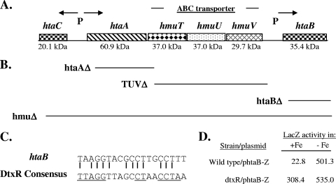 FIG. 1.