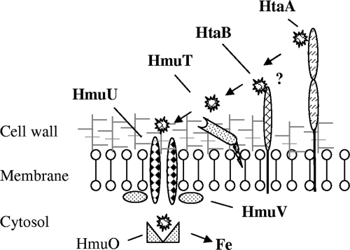 FIG. 7.