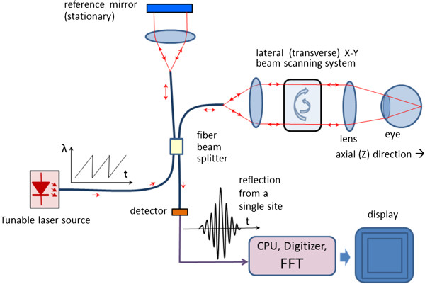 Figure 19