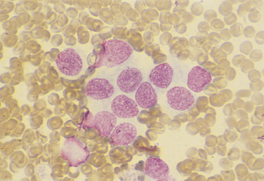 FIGURE 2-41
