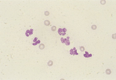 FIGURE 2-7