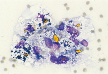 FIGURE 2-18