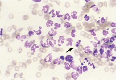 FIGURE 2-8