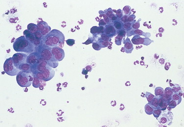 FIGURE 2-33