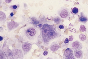 FIGURE 2-29
