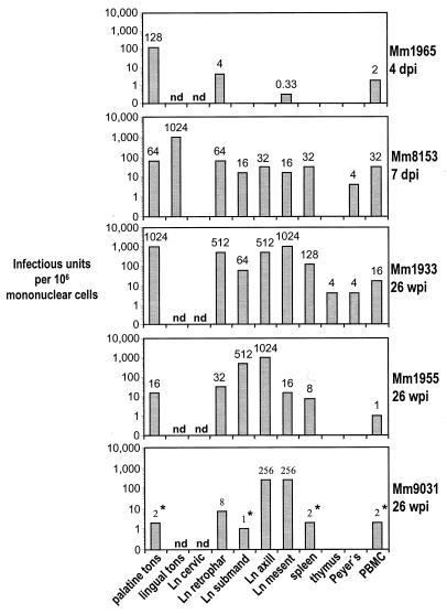 FIG. 2.