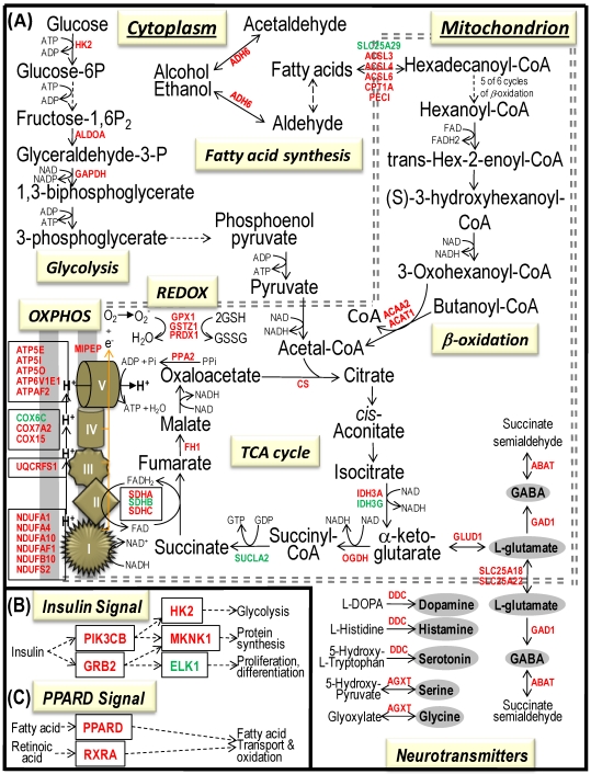 Fig 4