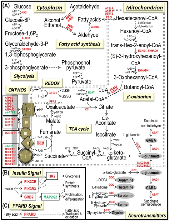 Fig 5