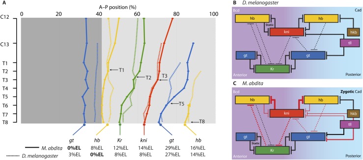 Figure 9.