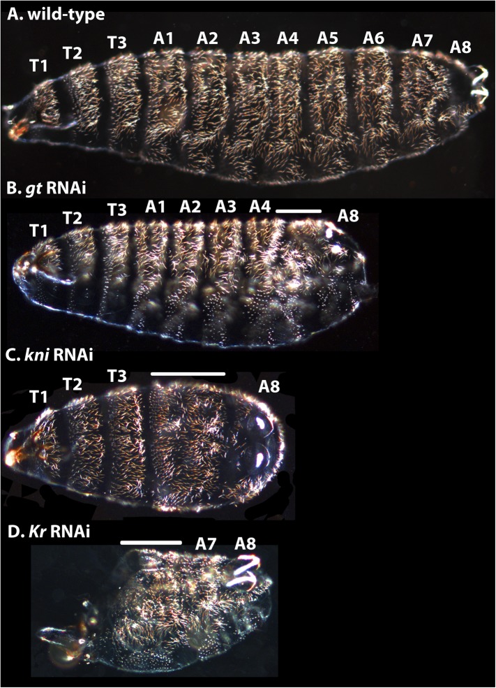 Figure 12.