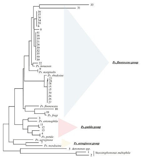 Figure 3.