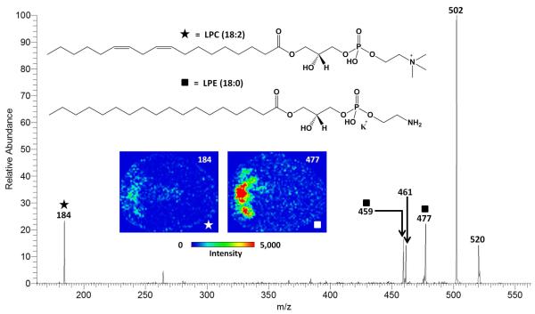 Figure 6