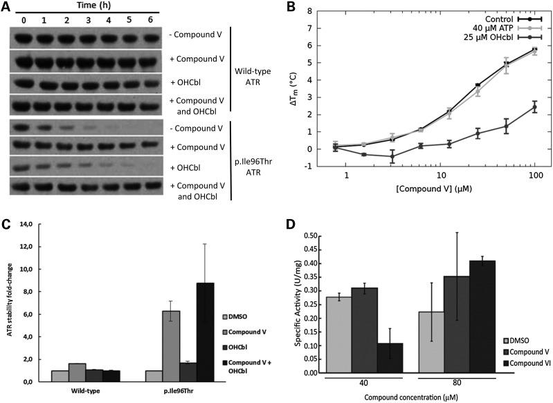 Figure 3.