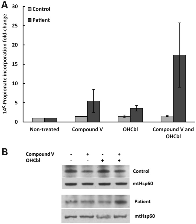 Figure 4.