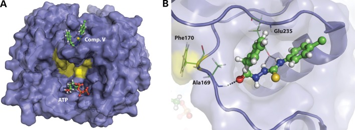 Figure 6.