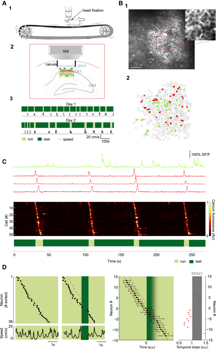 Figure 1