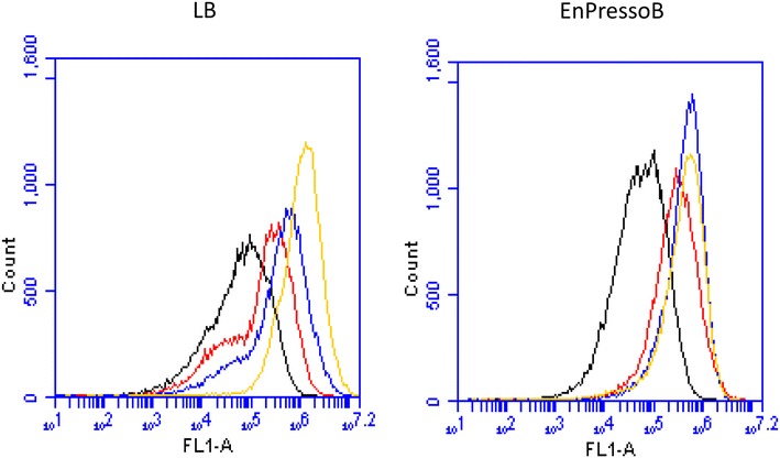 Fig. 3