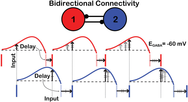 Figure 8—figure supplement 1.