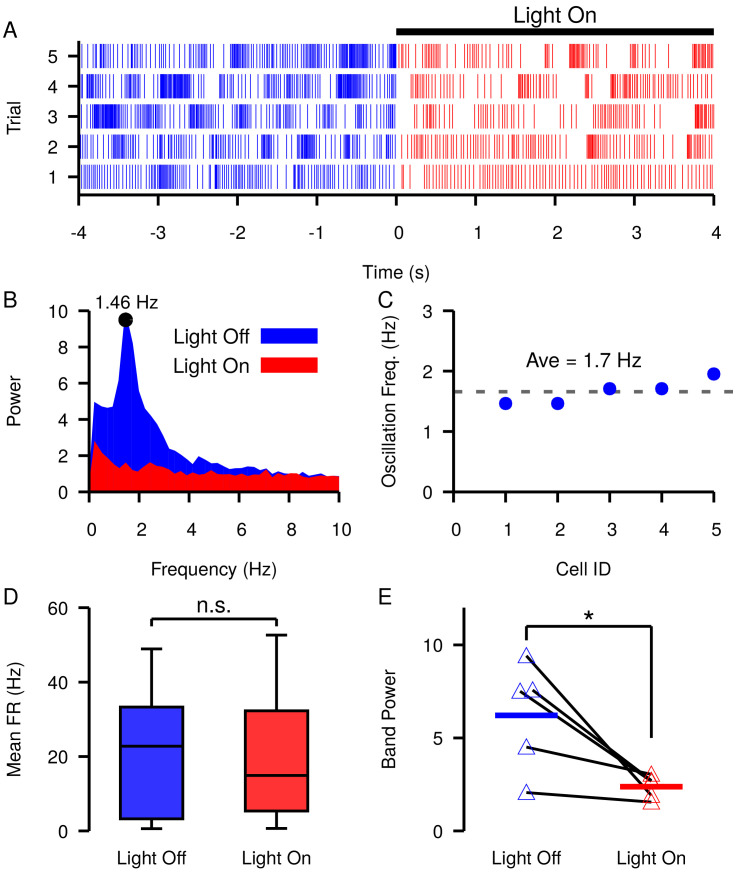 Figure 12.