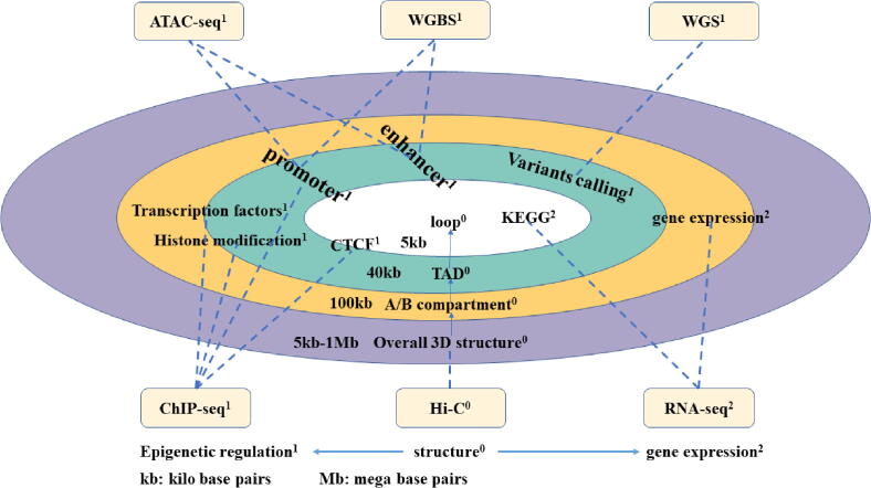 Fig. 4