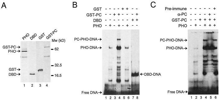 FIG. 5.