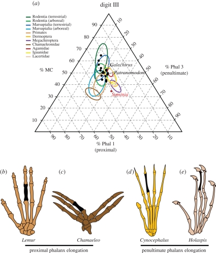 Figure 4.