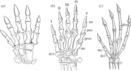 Figure 3.