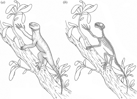 Figure 2.