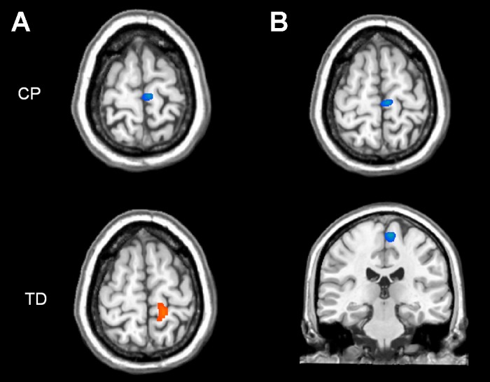 Fig. 3.