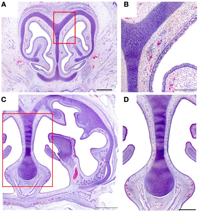 Figure 8