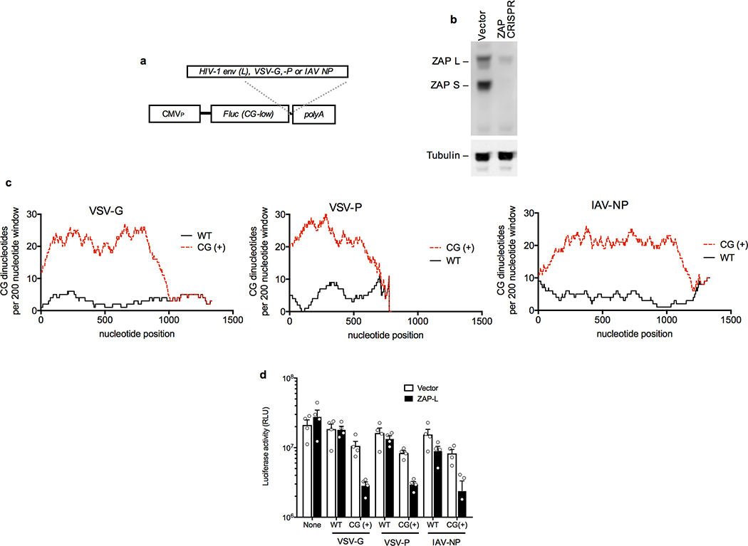 Extended data Figure 6