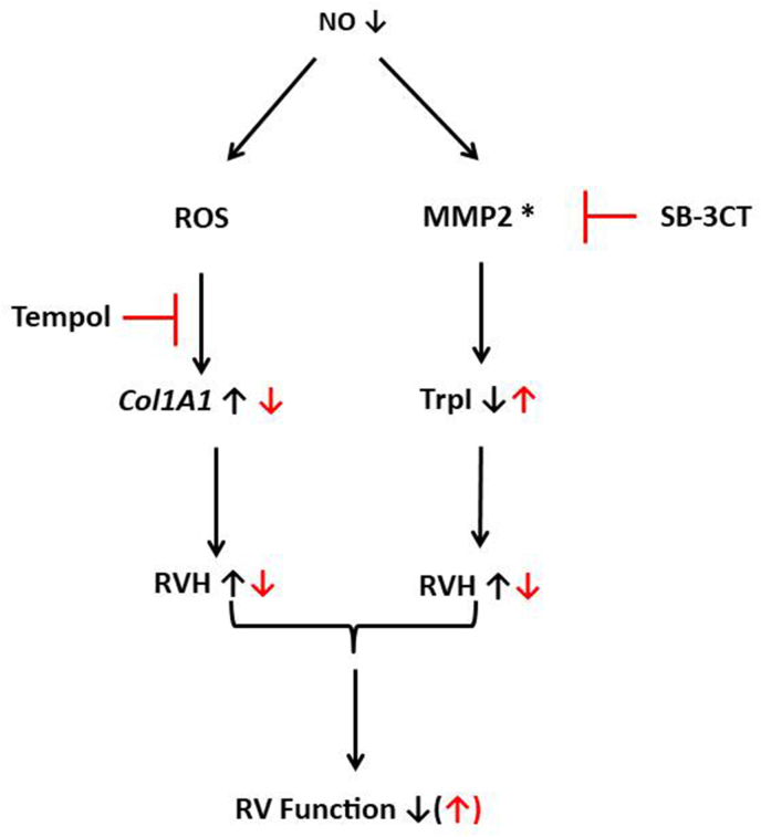 Fig. 9