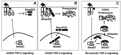 FIG. 10.