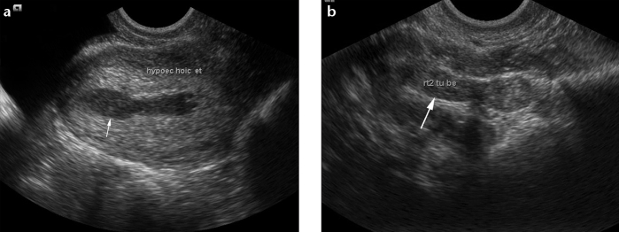 Figure 13.