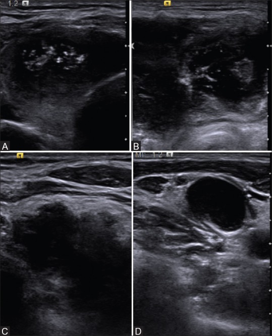 Figure 8 (A-D)