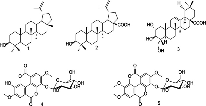 FIGURE 1