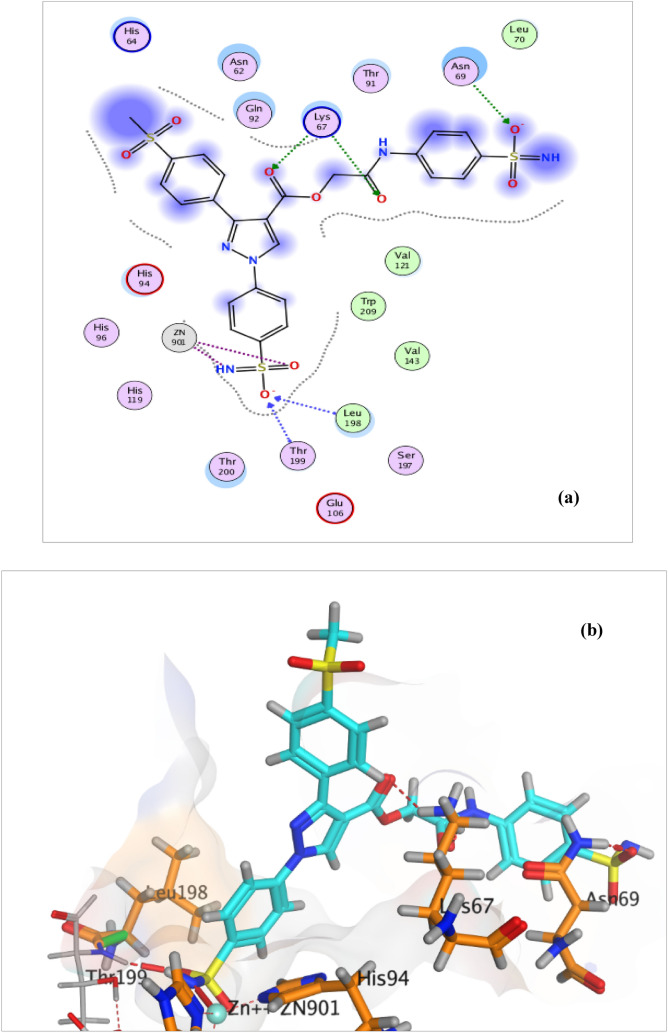 Fig. 9