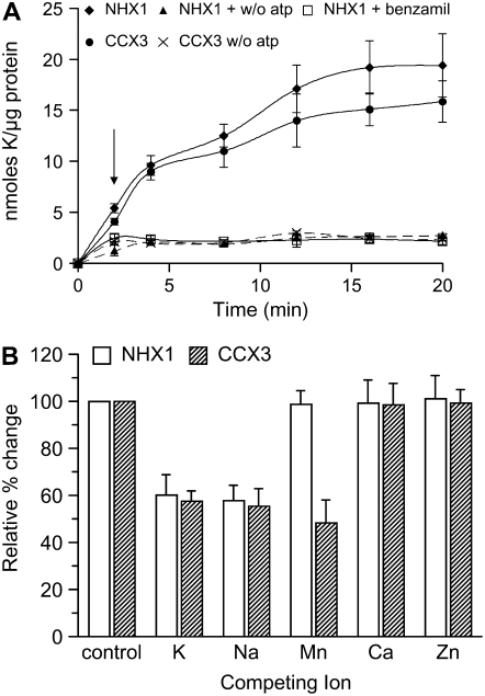 Figure 7.