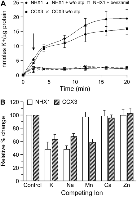 Figure 2.