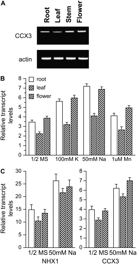 Figure 6.