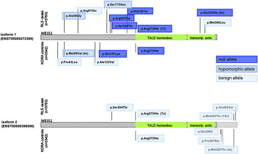 Figure 5