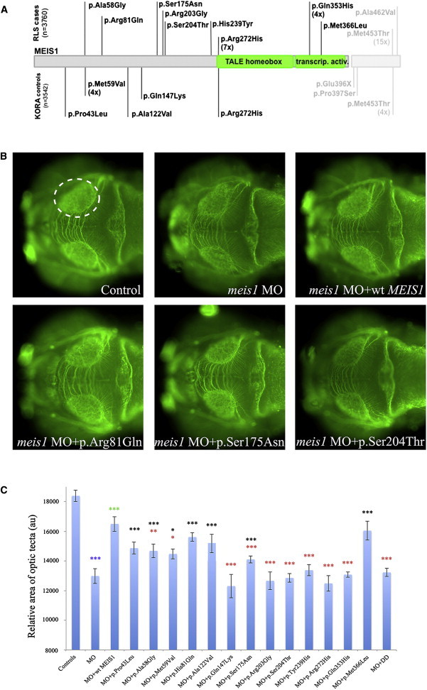 Figure 3