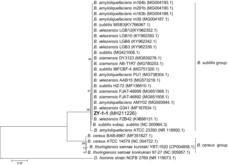 Fig. 2