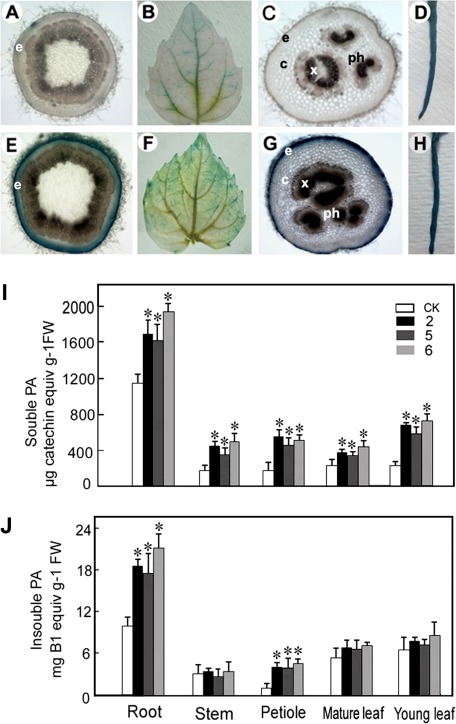 Fig. 5.