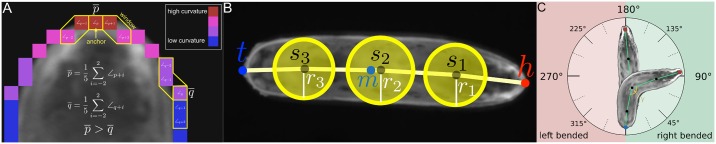 Fig 2