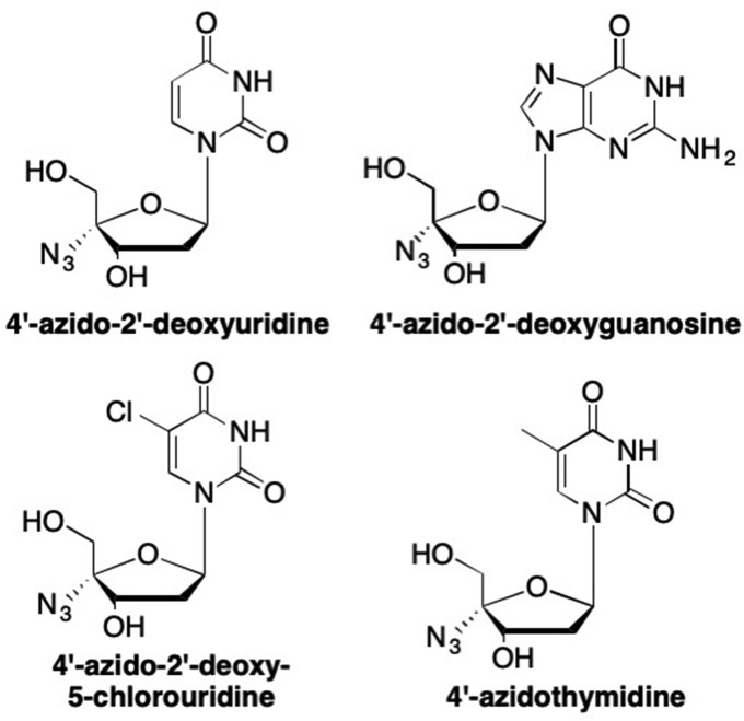 Fig. 17