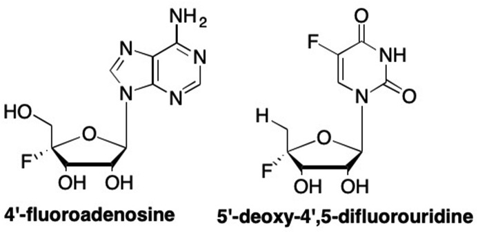 Fig. 15