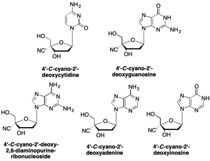 Fig. 21