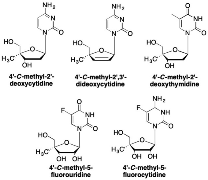 Fig. 16