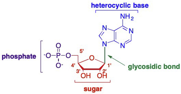 Fig. 1